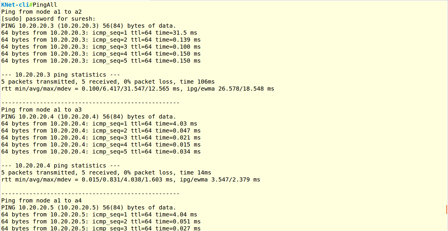 _images/CLI_pingall_command_s.png