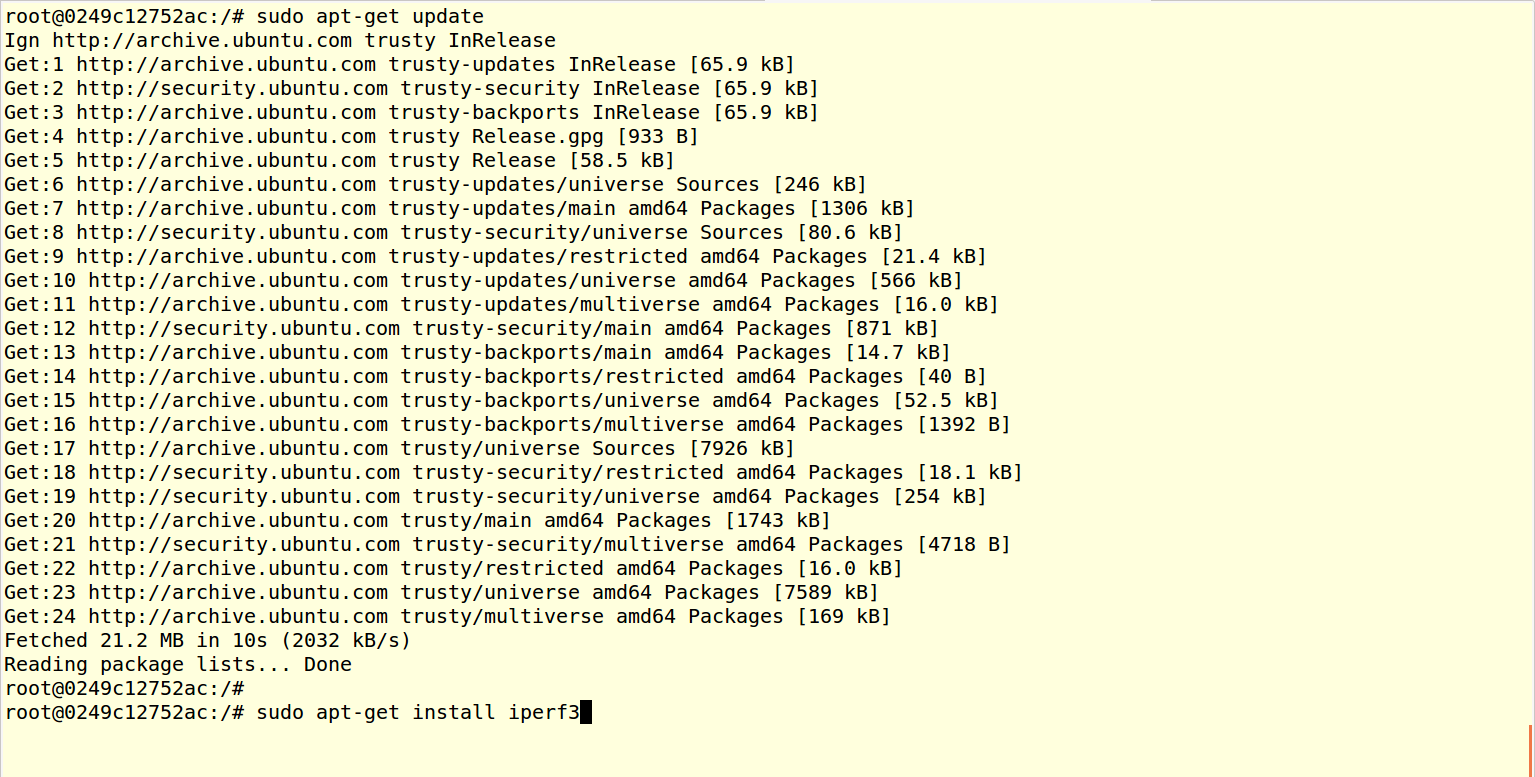 _images/docker_iperfs_s.png