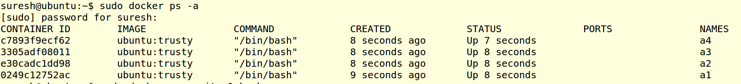 _images/docker_psa_s.png