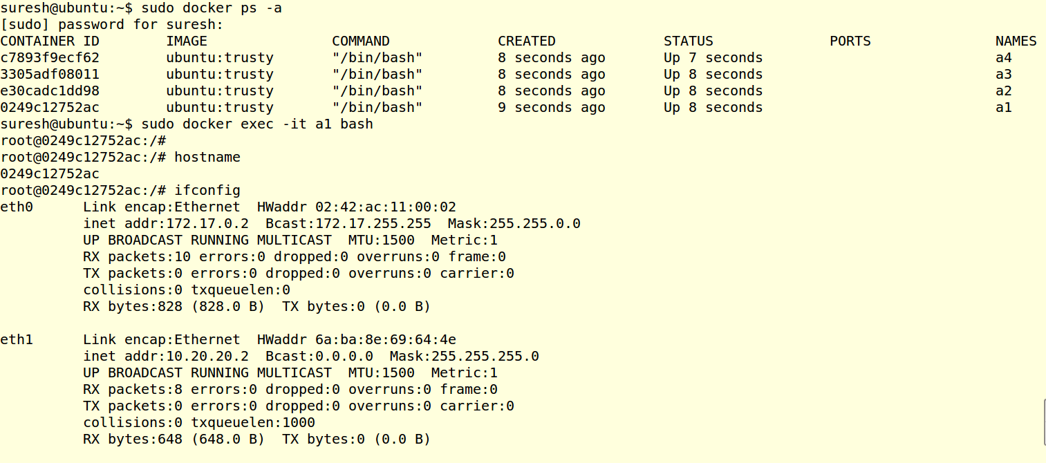 _images/docker_shell_s.png
