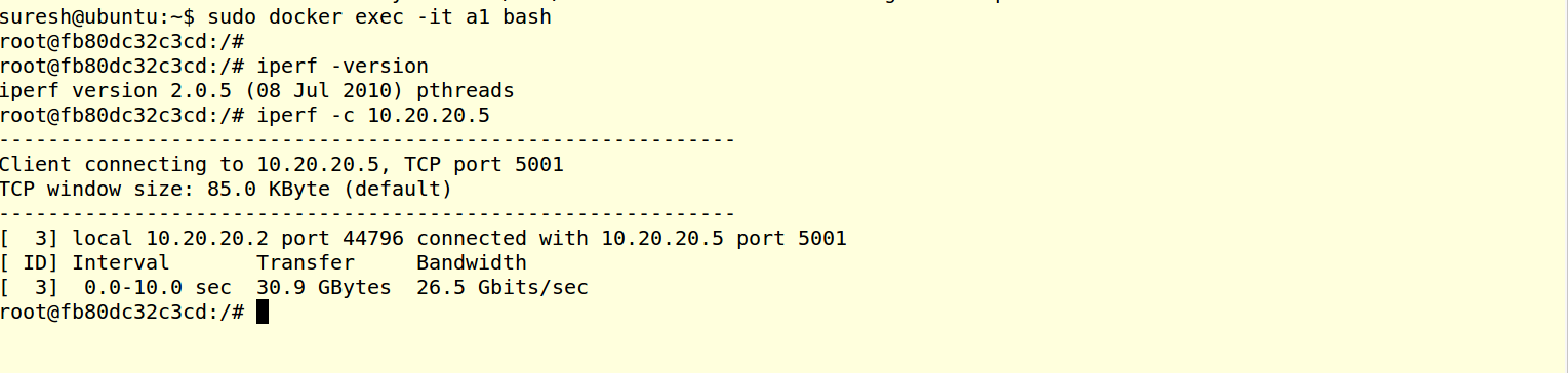 _images/iperf_client_output_s.png