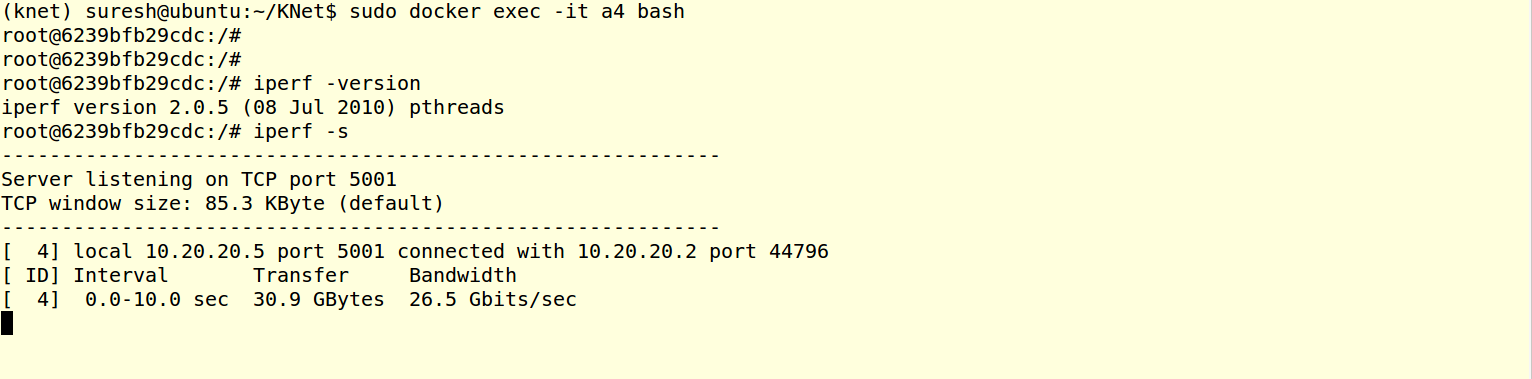 _images/iperf_server_output_s.png