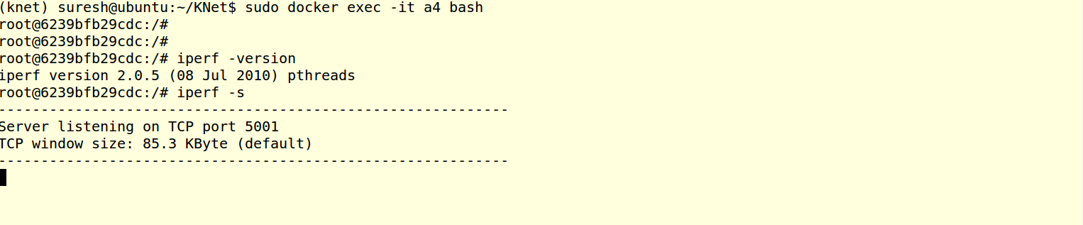 _images/iperf_server_start_s.png