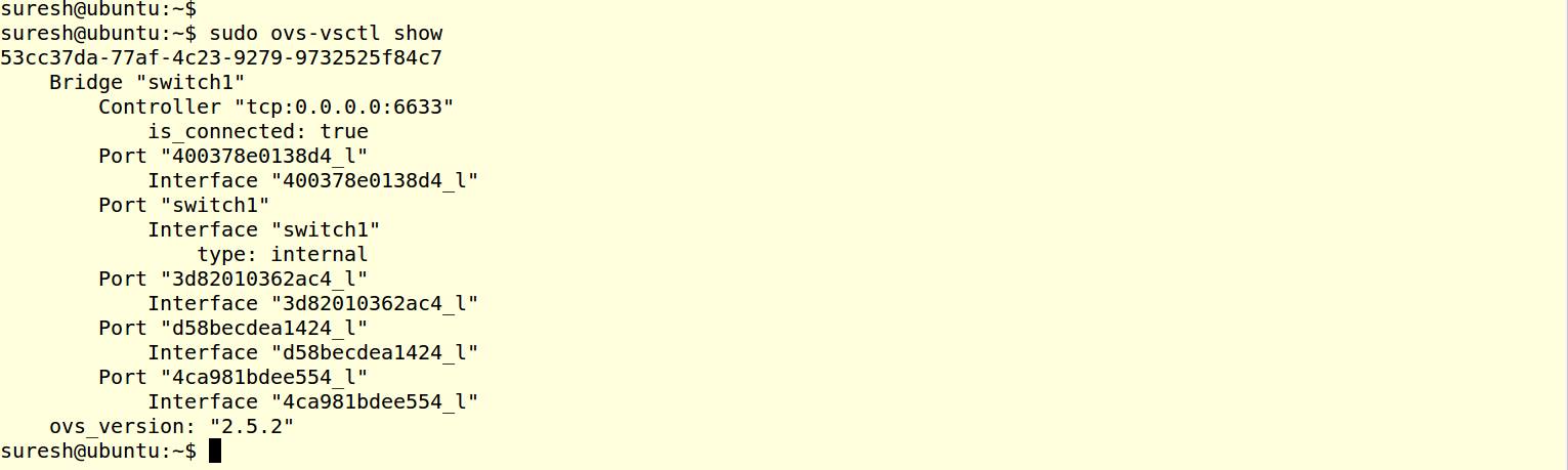 _images/ovs_show_s.png