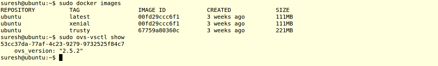 _images/prereq_verification_s.png