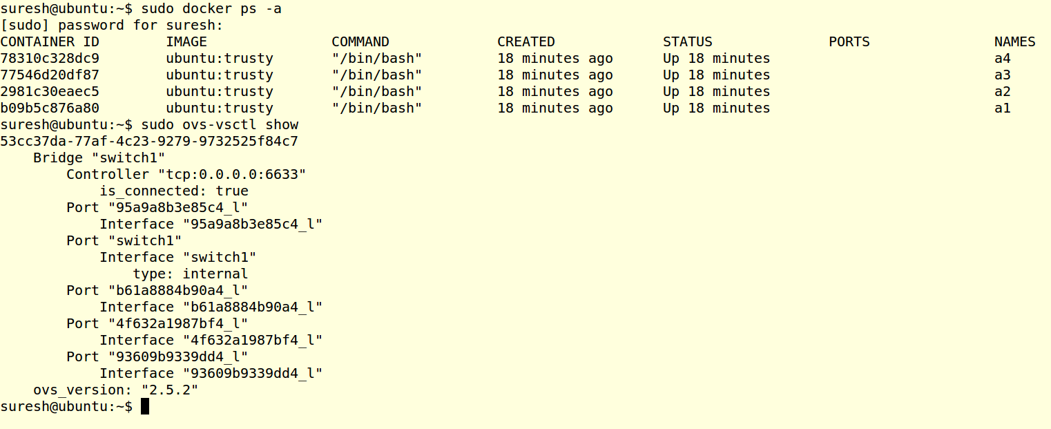 _images/startopology_dockerswitch_cmds_s.png